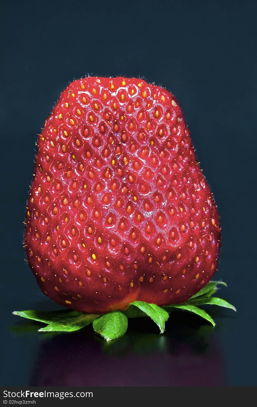 Close-up of a strawberry Italian, on a black background