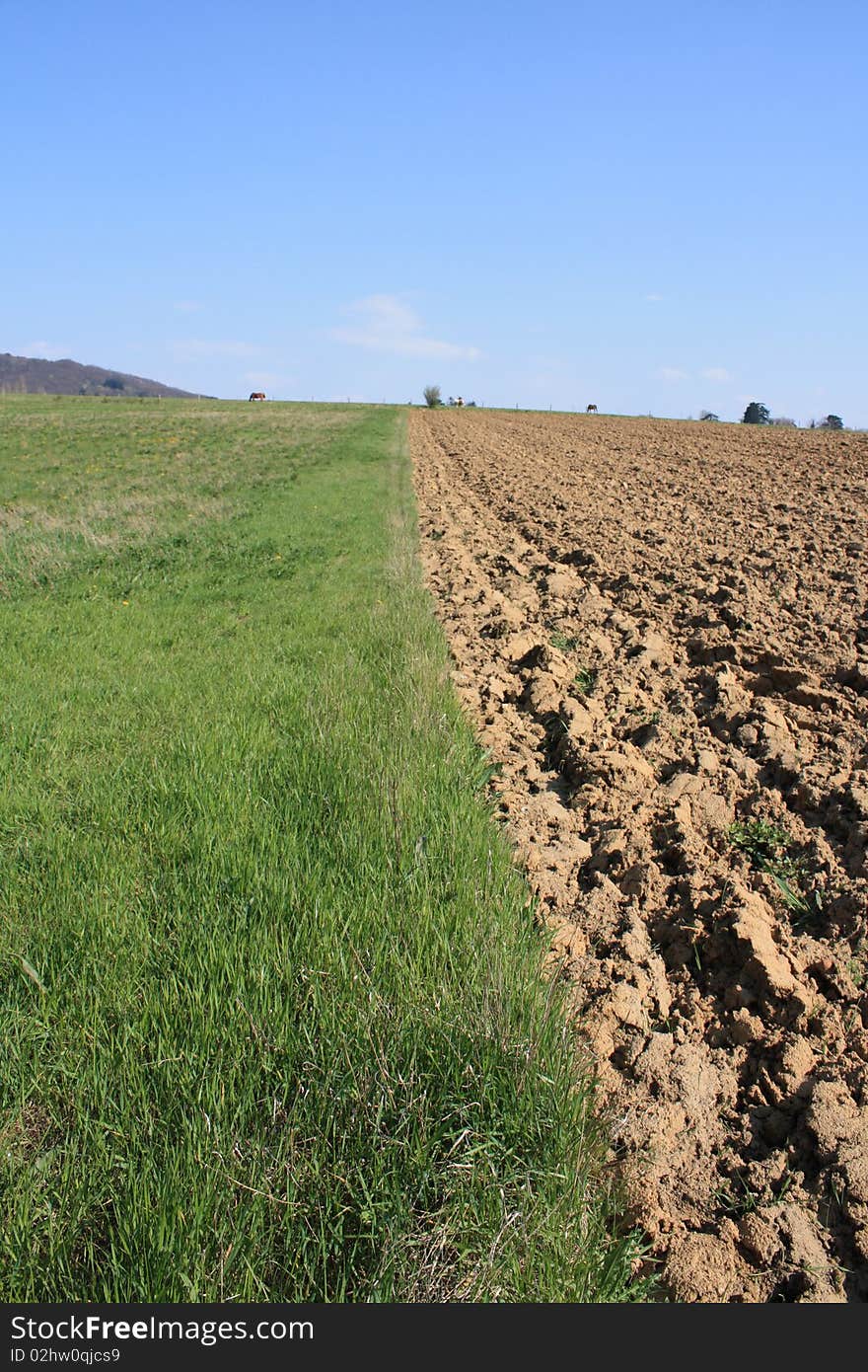 Tillage And Meadow