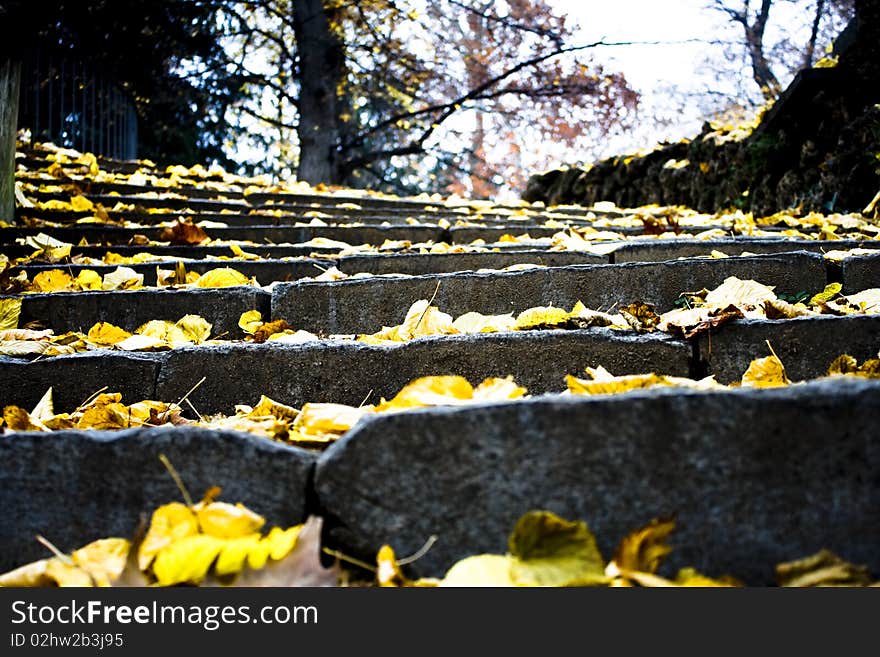 A Stair with fallen lift in the forest. A Stair with fallen lift in the forest