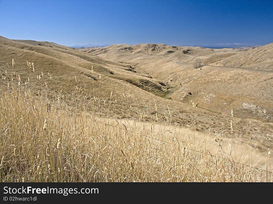 Grass covered hills during summer. Grass covered hills during summer