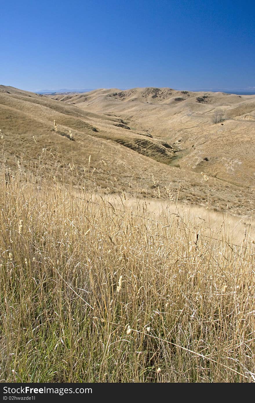 Grass covered hills in summer. Grass covered hills in summer