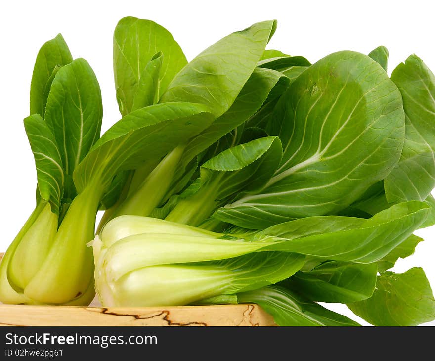 Spinach cabbage. Close up on white background