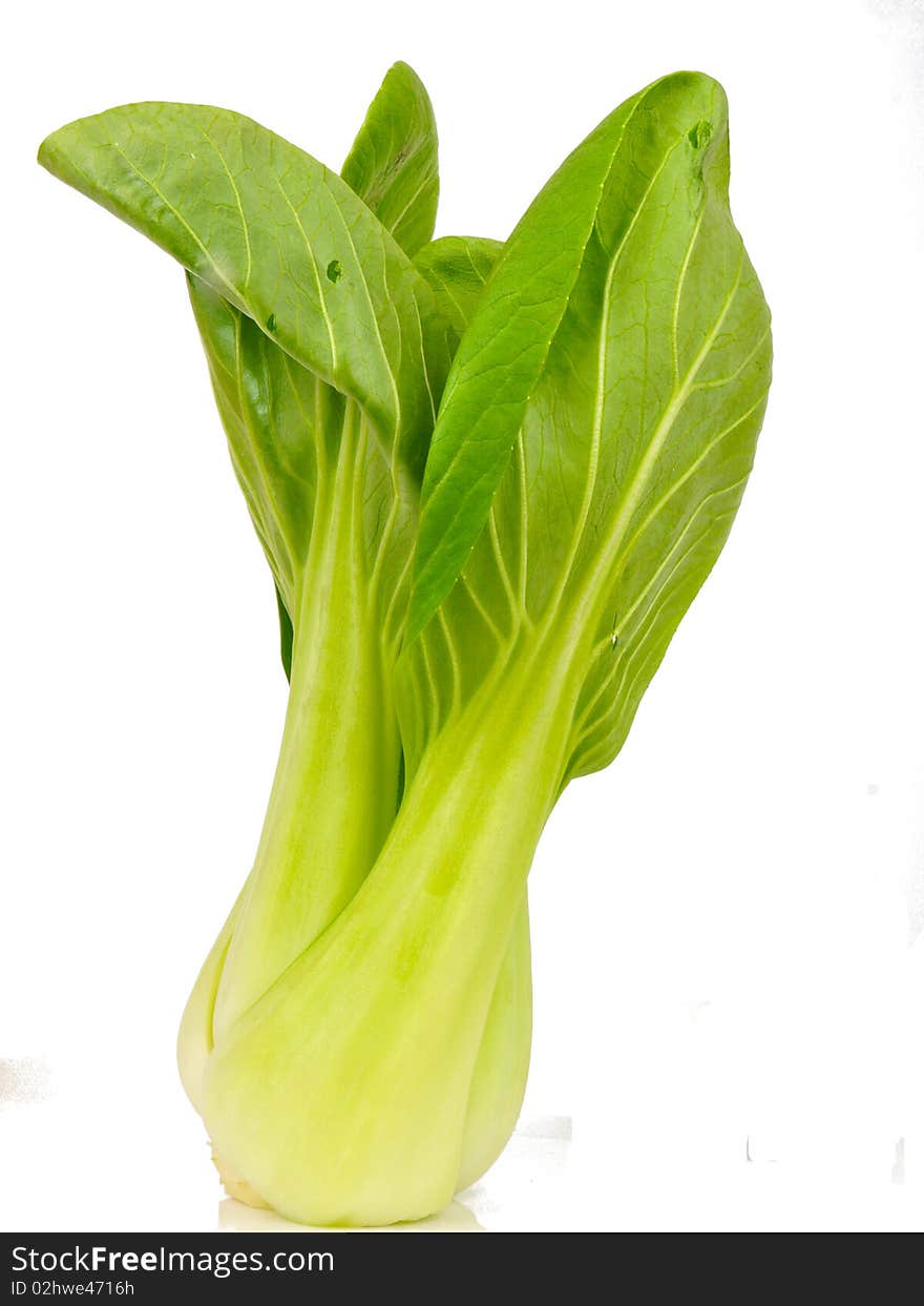 Spinach cabbage