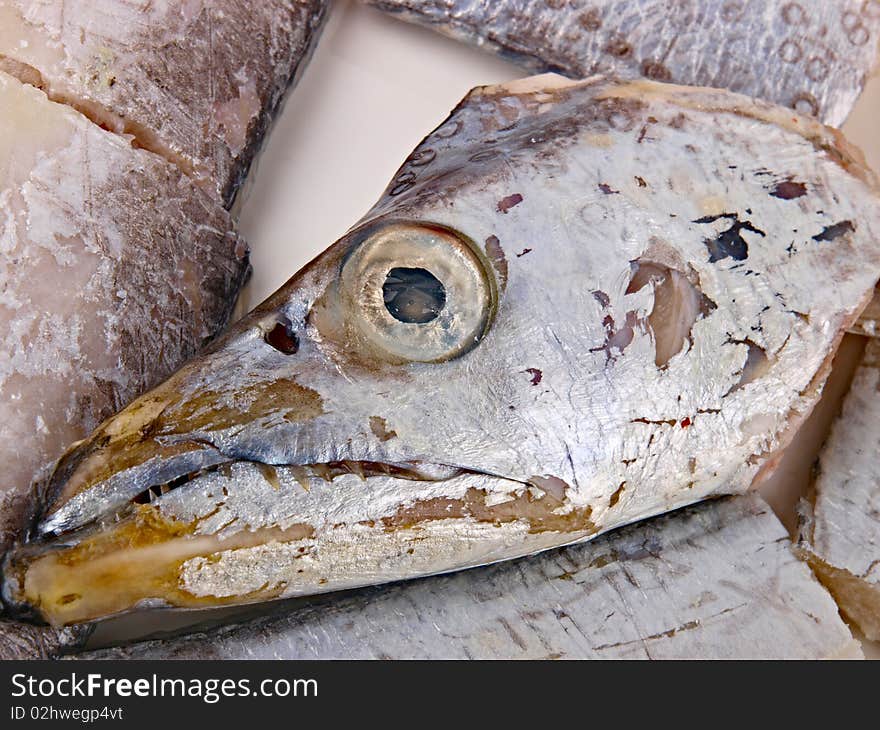 Fresh Conger fish. Close up on white background