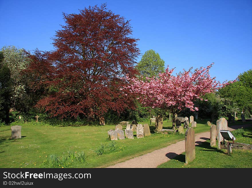 Springtime In The Churchyard