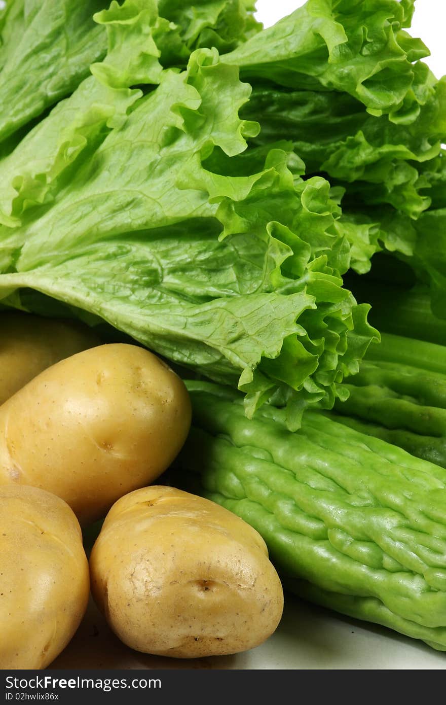 Different vegetables on the white background