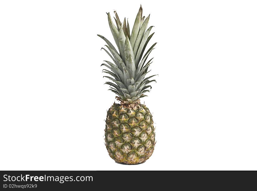 Pineapple