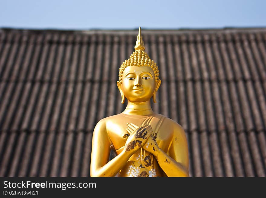 Budda Statue in the temple chiangmai thailand