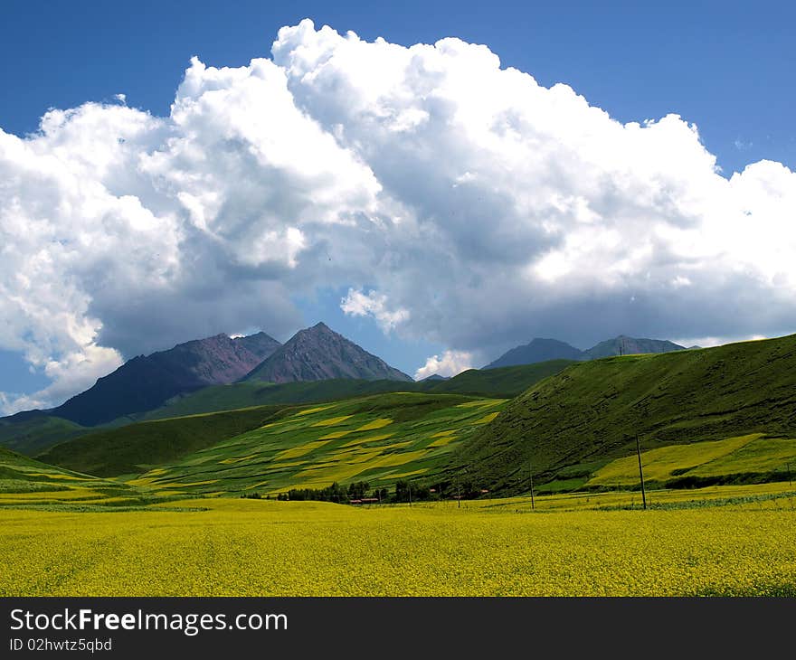 under a blue sky in China, Qinghai. under a blue sky in China, Qinghai