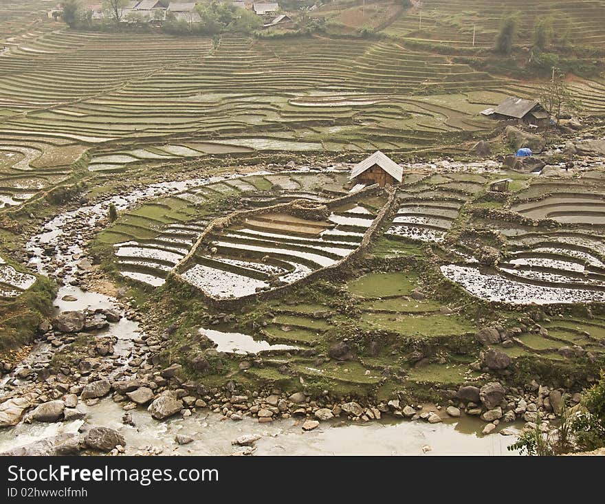 Rice fields in the mountainous country from SaPa, north Vietnam. Rice fields in the mountainous country from SaPa, north Vietnam.