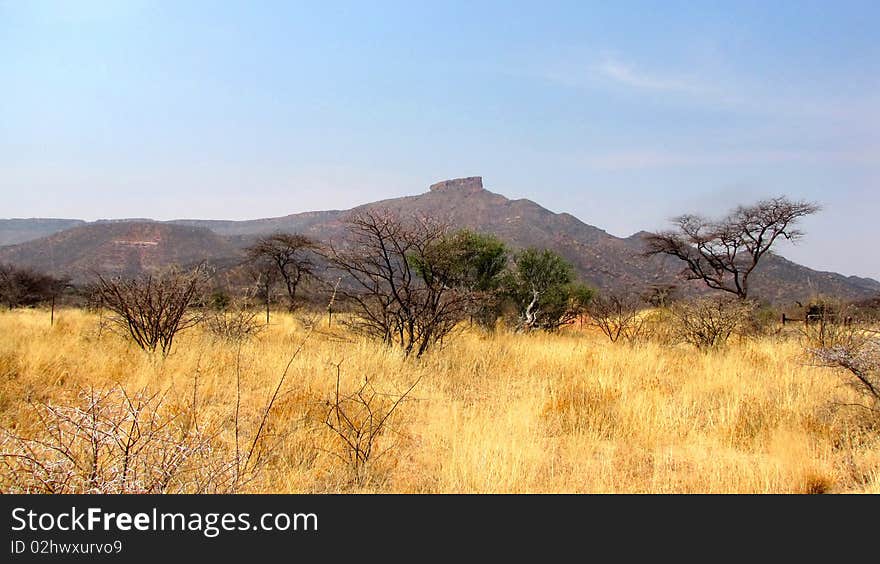 Namibian landscape