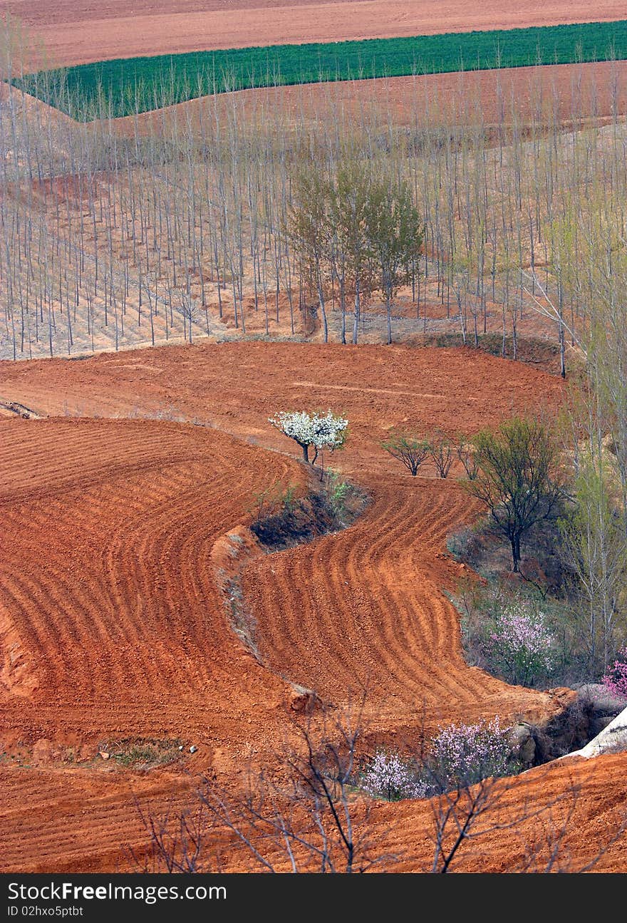 the fields located in the foothills in spring. the fields located in the foothills in spring.