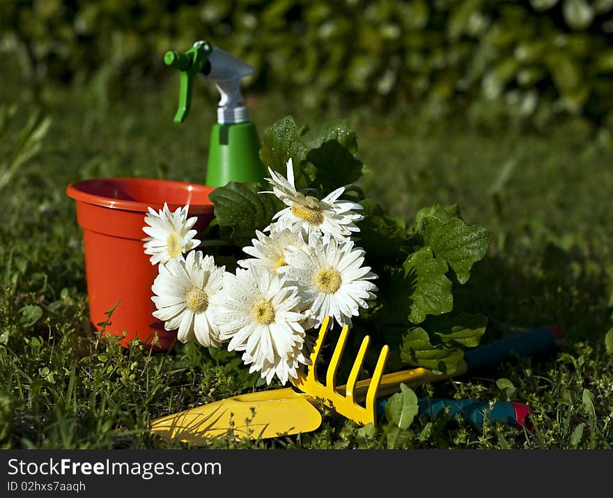 Flowers of different colors and types to be planted in a garden. Flowers of different colors and types to be planted in a garden