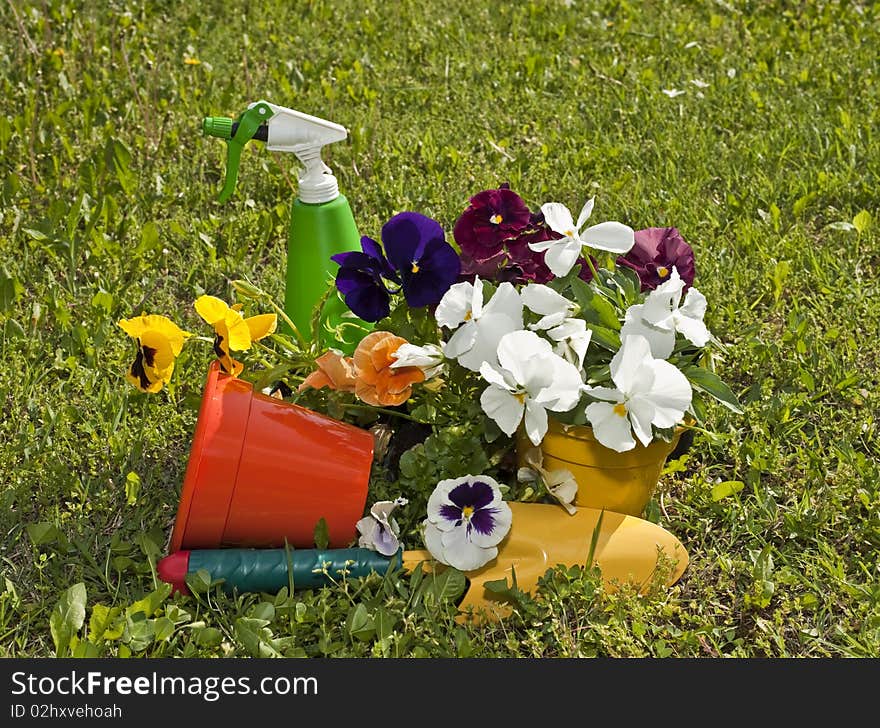 Flowers And Gardens