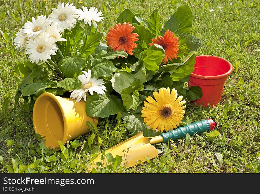 Flowers And Gardens