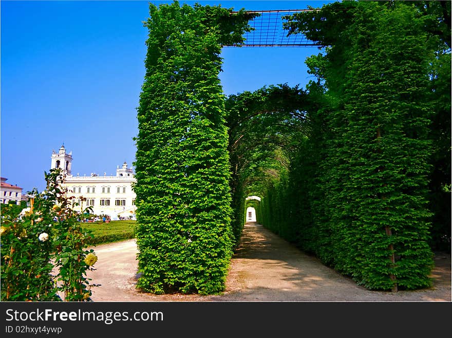 Green long tunnel in the Italian garden