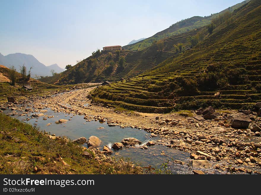 Stairways Rice Fields