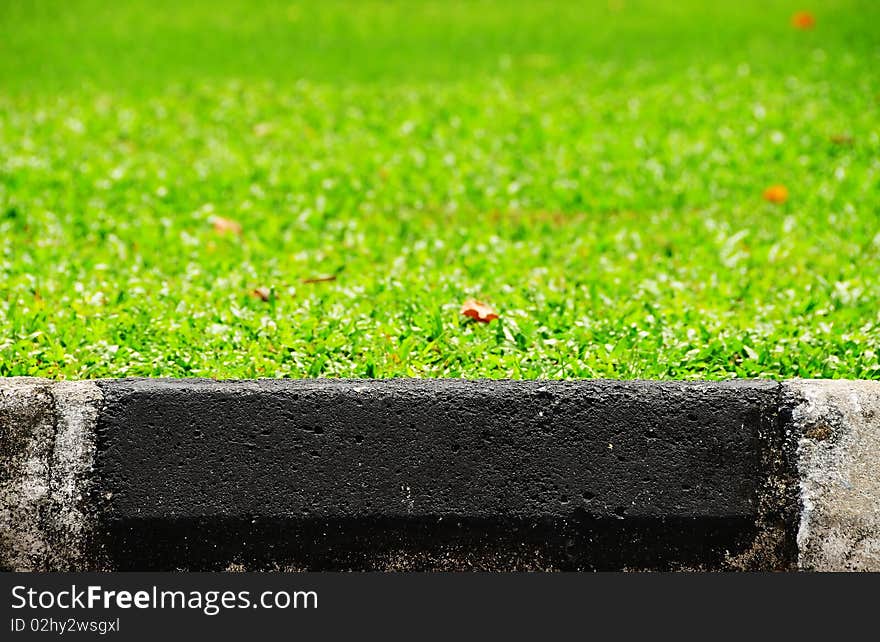 The footpath with the grass