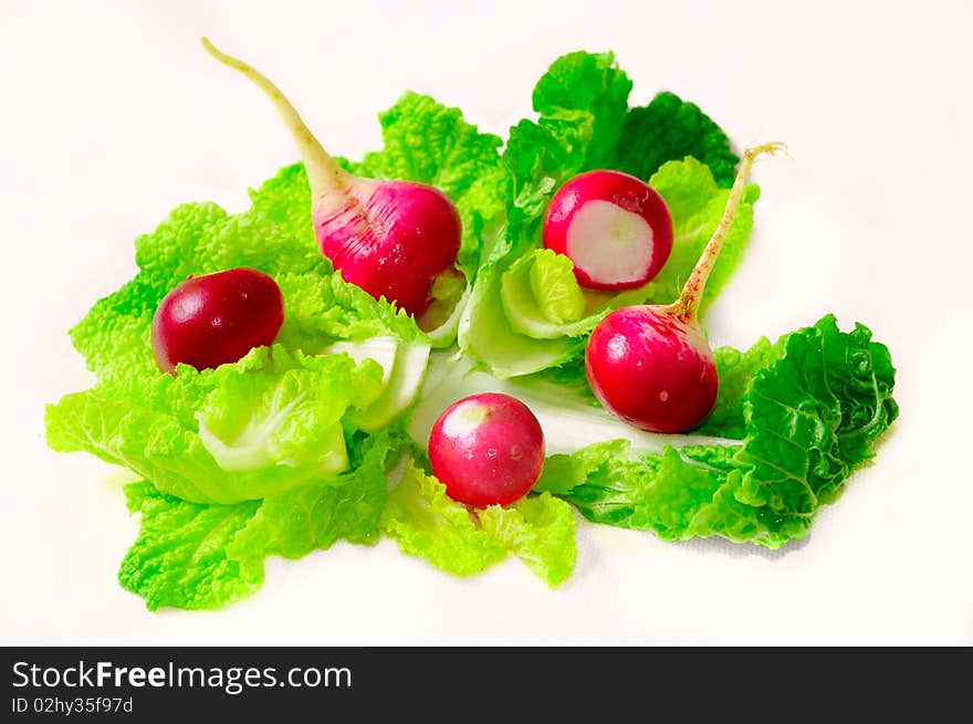 Redish and lettuce isolated on white. Redish and lettuce isolated on white