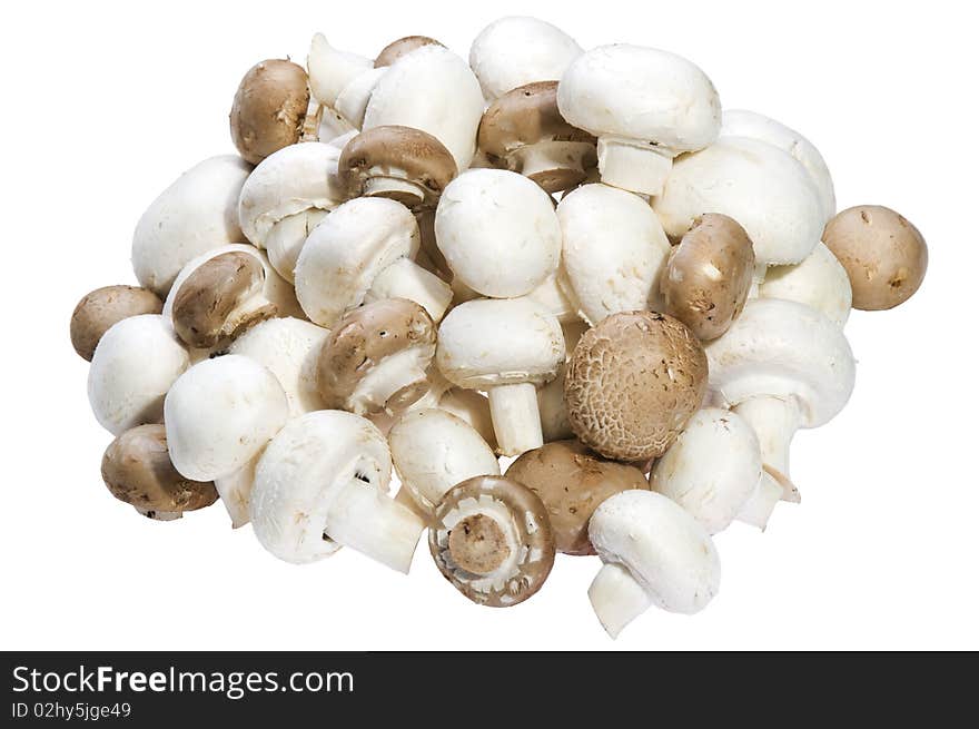 Pile of mushroom on a white background. Pile of mushroom on a white background