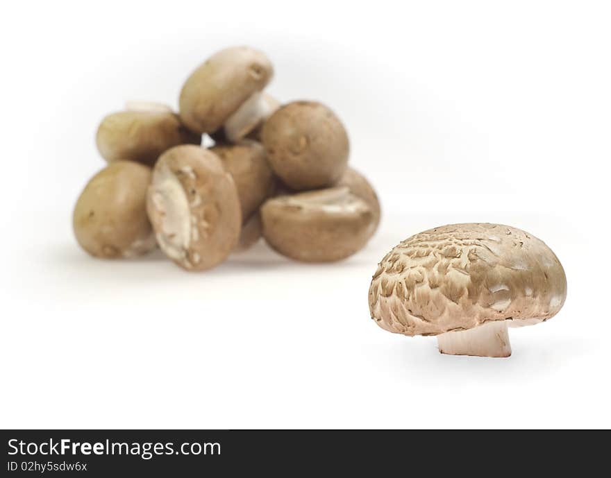 Pile of brown mushrooms on a white background