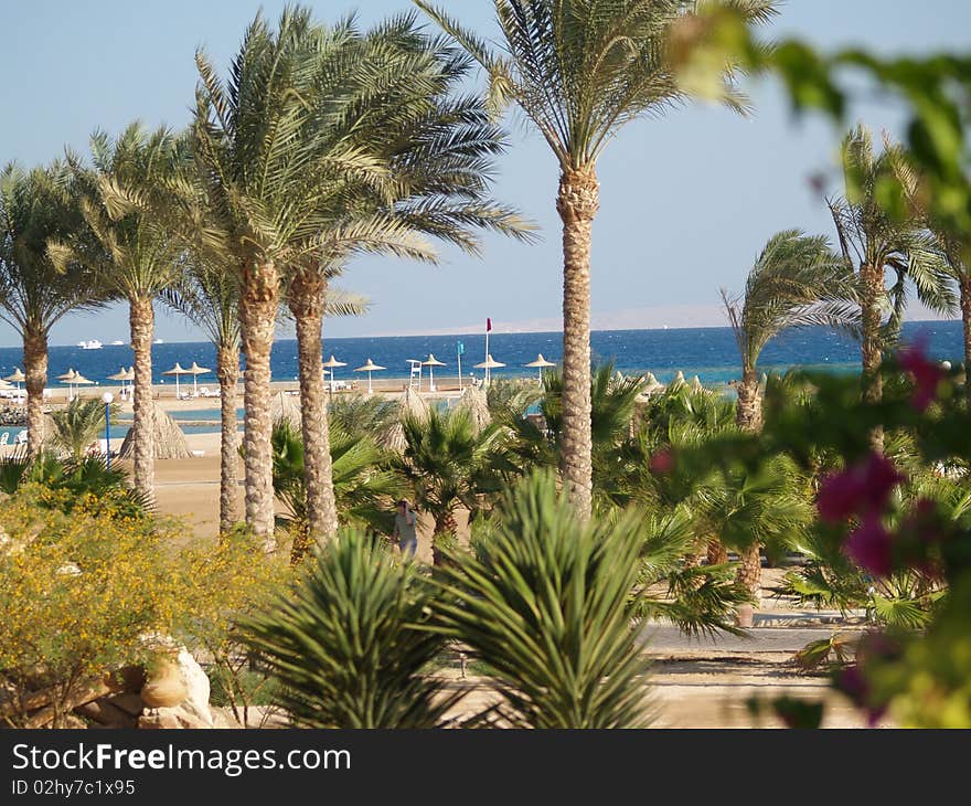 Beach on Red Sea. Hurgada. Egypt. Summer trip. Beach on Red Sea. Hurgada. Egypt. Summer trip.