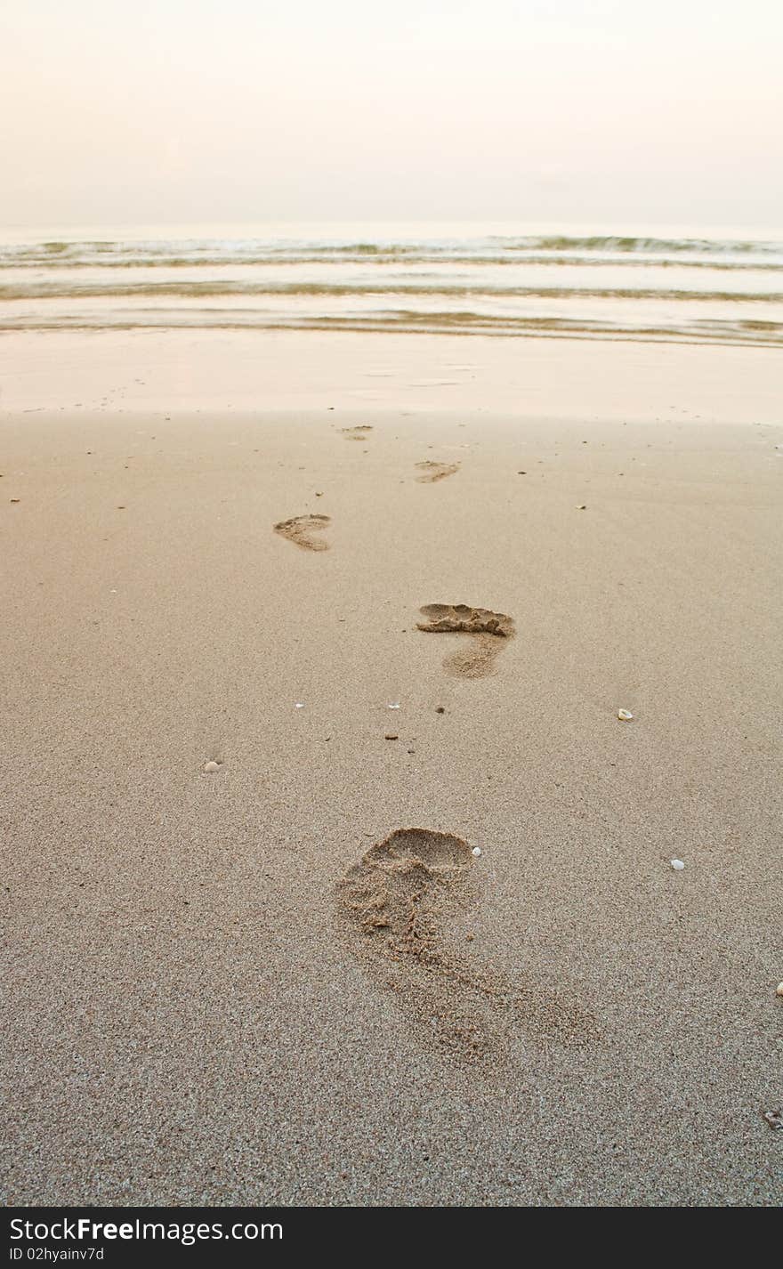 The footprint on the beach, the mean of life