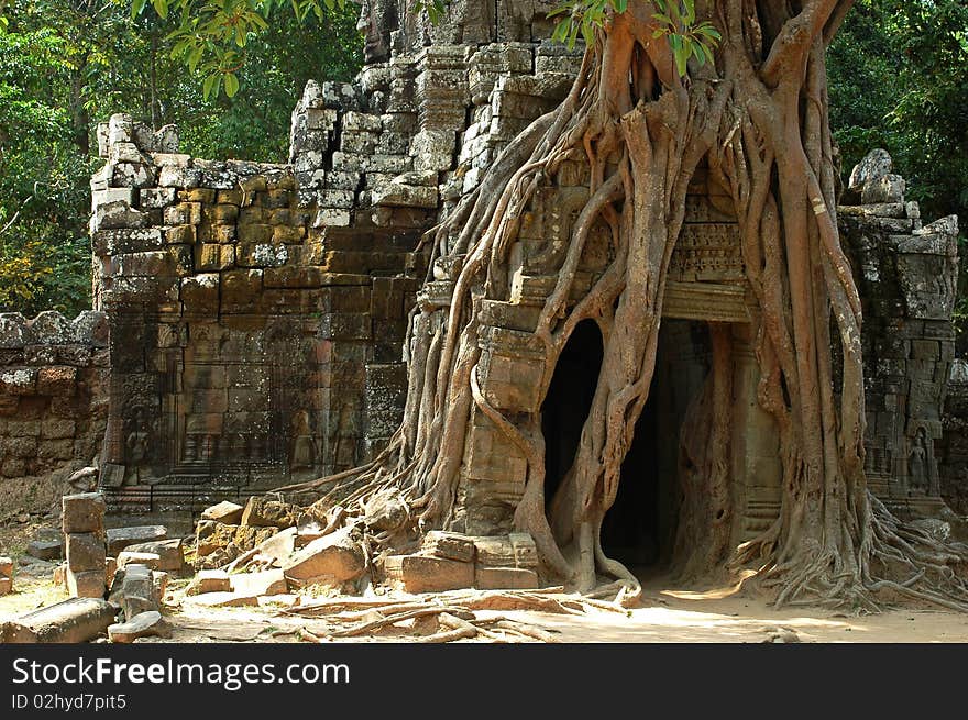 Angkor,Cambodia