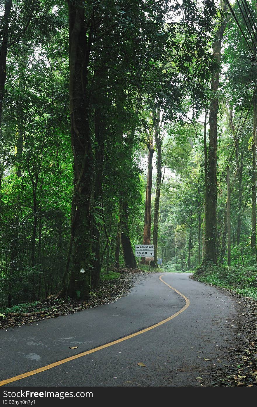 Curves on the mountain in Thailand