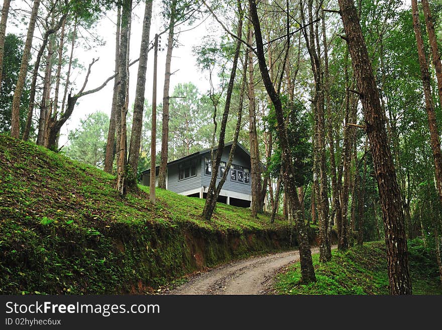 House in the forest, northern Thailand