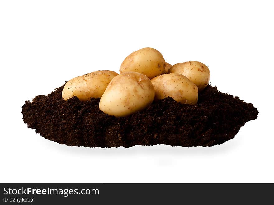 New potatoes