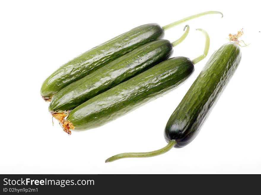 Fresh cucumbers isolated on white. Fresh cucumbers isolated on white