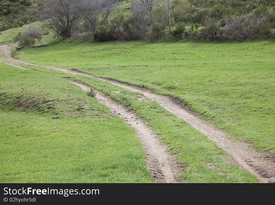 Green Road in the fields of northern Spain