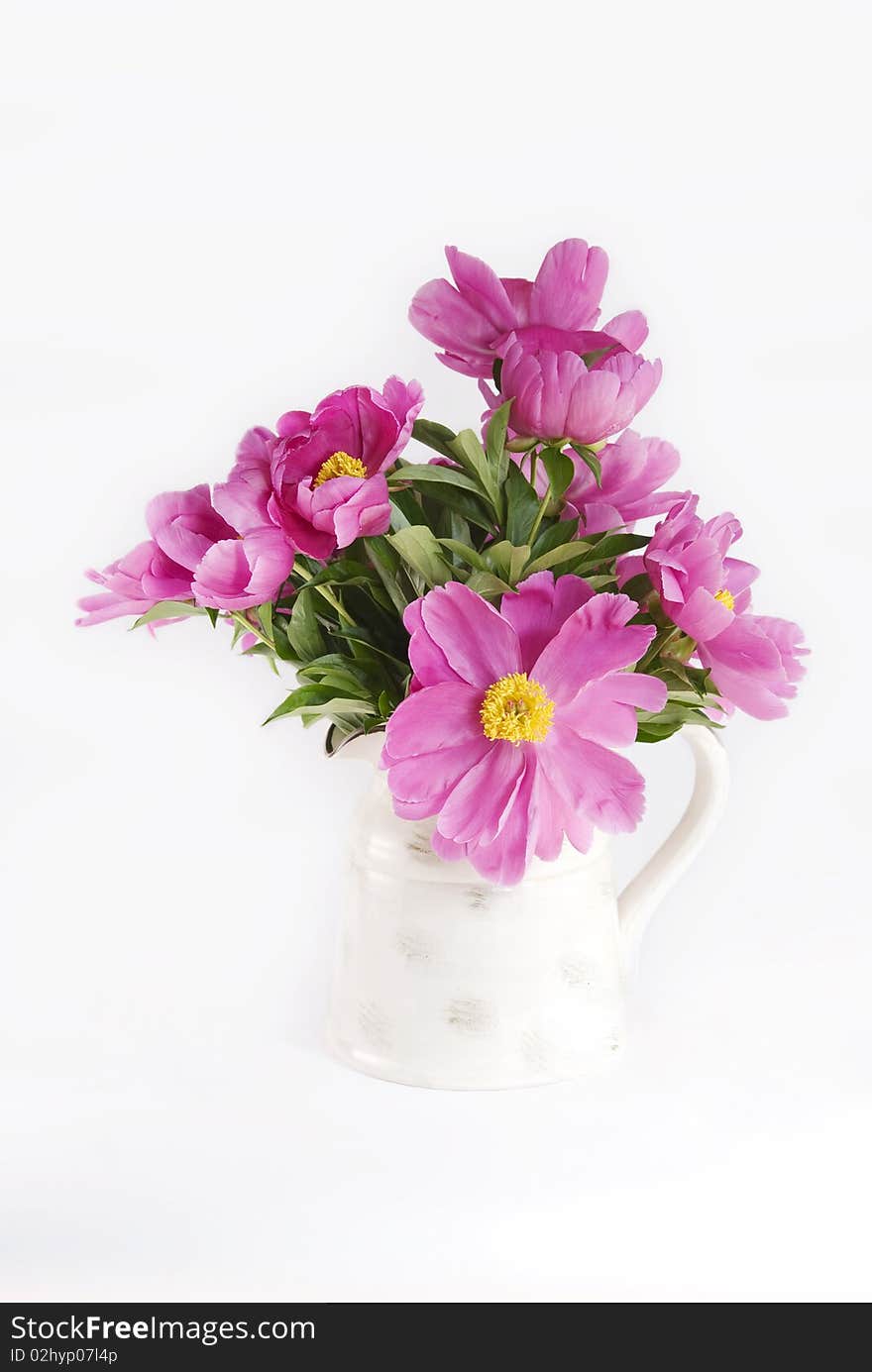 Pink Peonies in Vase