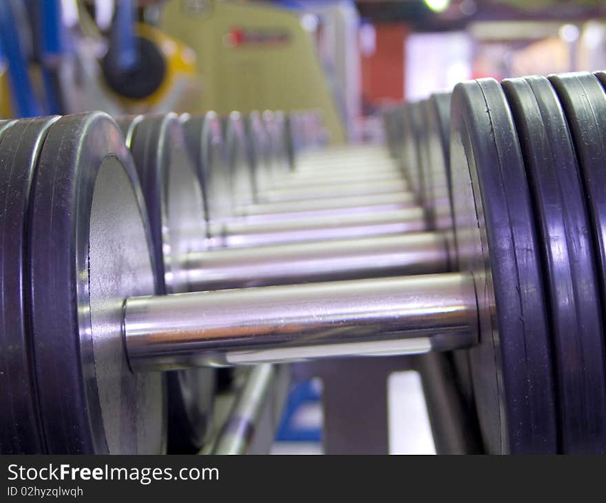 Weights arranged by size on metal holder in gym