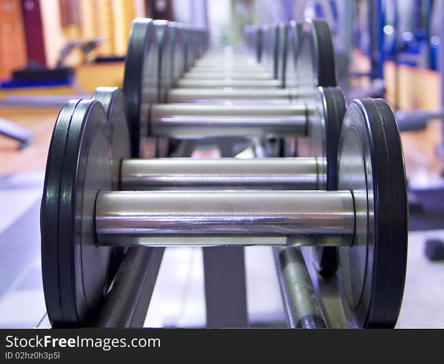 Weights arranged by size on metal holder in gym