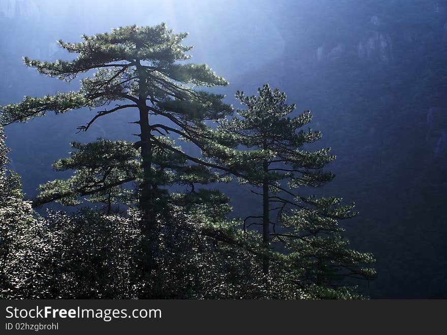 San Qin Mountain lies in the northeast of JiangXi Province, China. It is a marve, within an area of 220 square kilometers, rises 1817 meters above sea level. San Qin Mountain lies in the northeast of JiangXi Province, China. It is a marve, within an area of 220 square kilometers, rises 1817 meters above sea level.