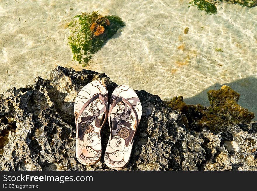 Shoes and coral reef