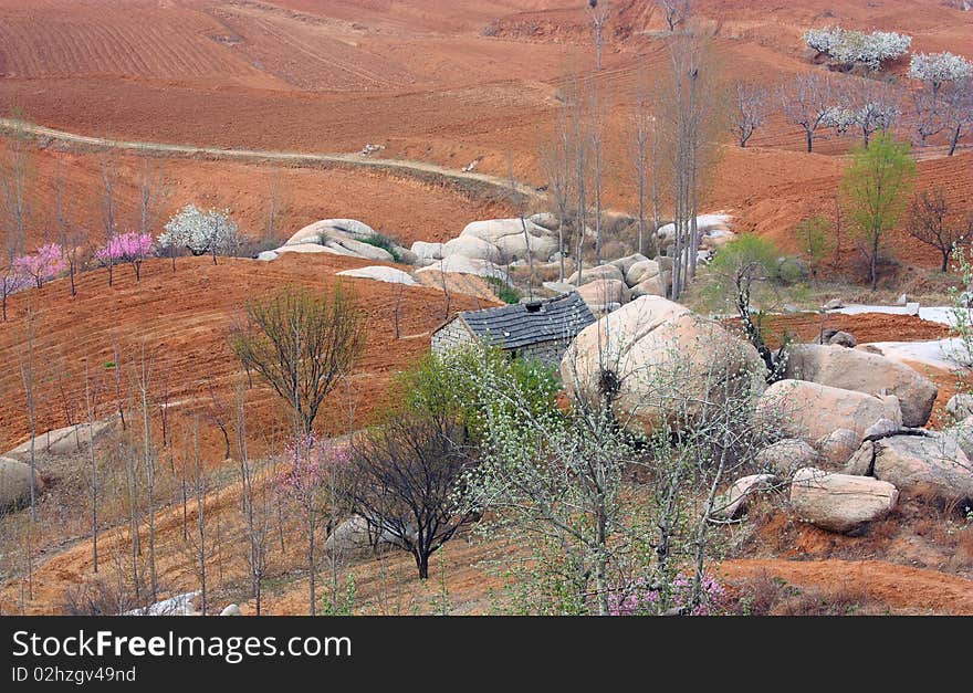 Early spring landscape