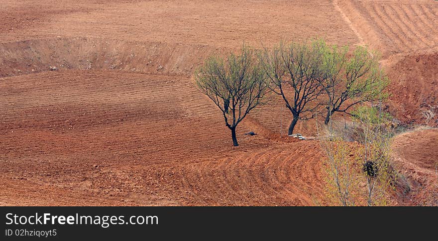 The fields located in the foothills began to plowing in spring. The fields located in the foothills began to plowing in spring.