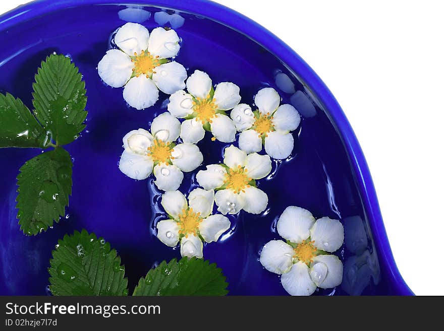 Flowers floating on water in a blue bowl. Flowers floating on water in a blue bowl