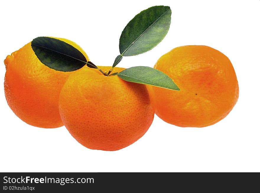 Mandarin or tangerine