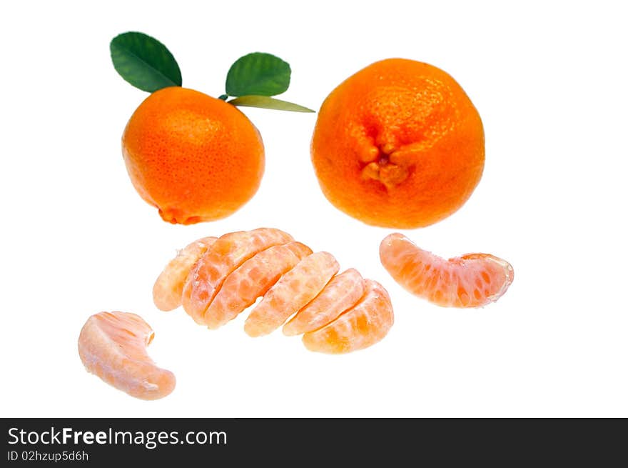 Mandarin or tangerine