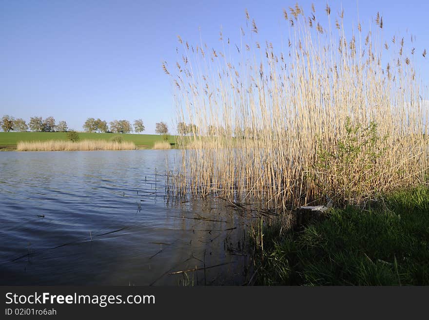 Lake in the spring