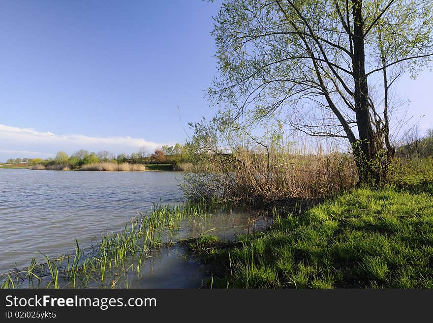 Lake in the spring