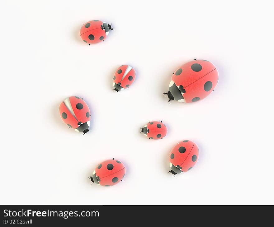 Several ladybirds on white background