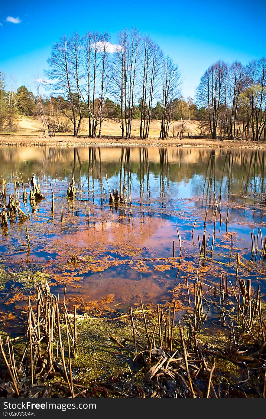 Bog in which the trees in the friend are reflected I protect