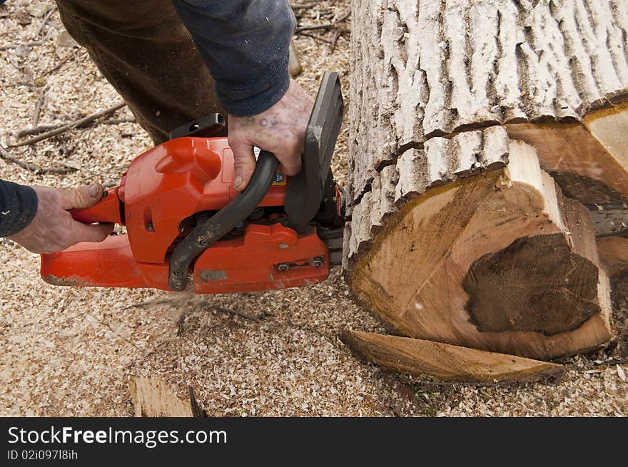 Lumberjack cuting a log