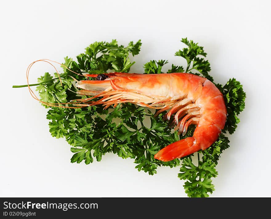 Australia prawn