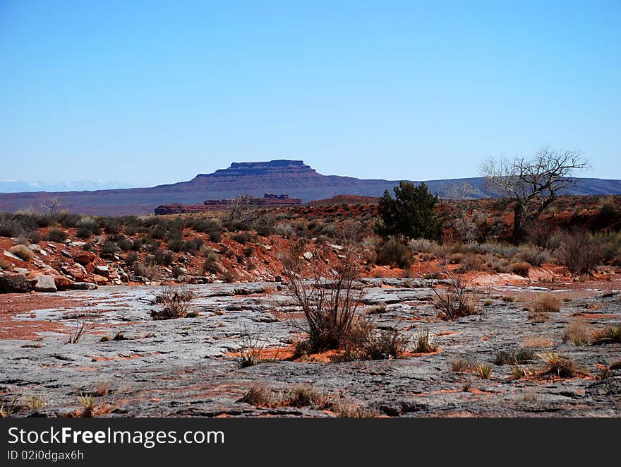 Valley of the Gods, Utah near Muley Point